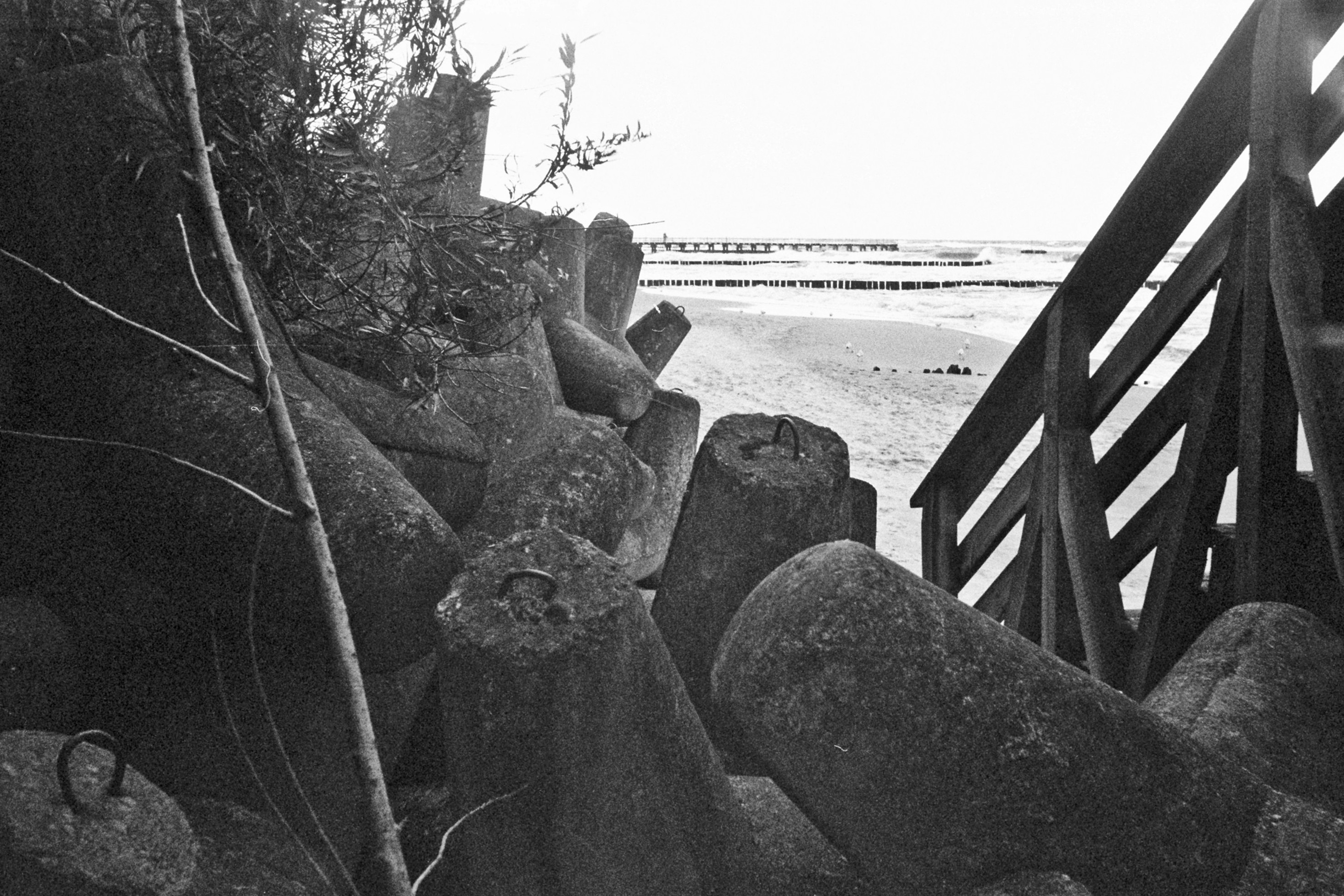 Image description