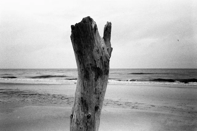 Image description