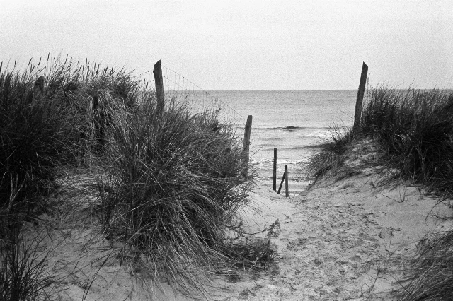 Image description