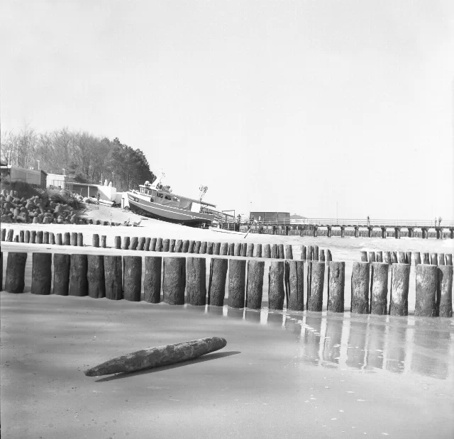 Image description