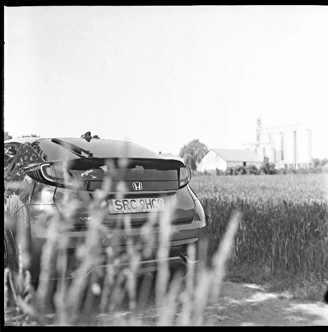Image description
