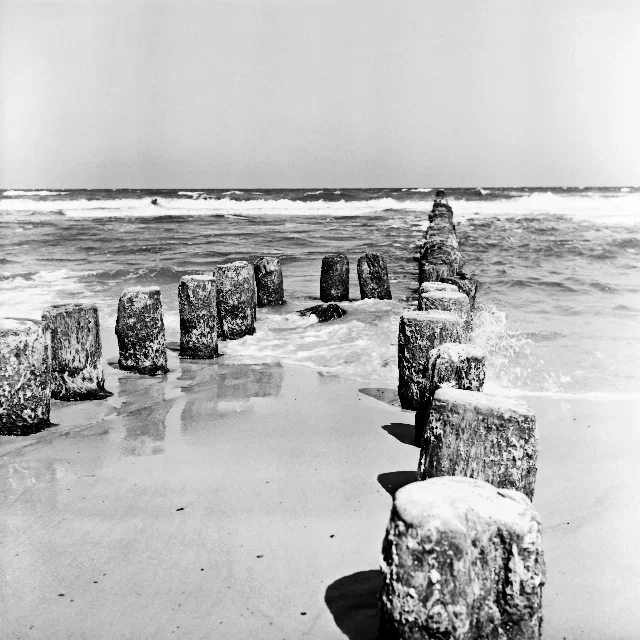 Image description