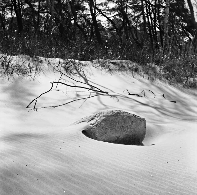 Image description
