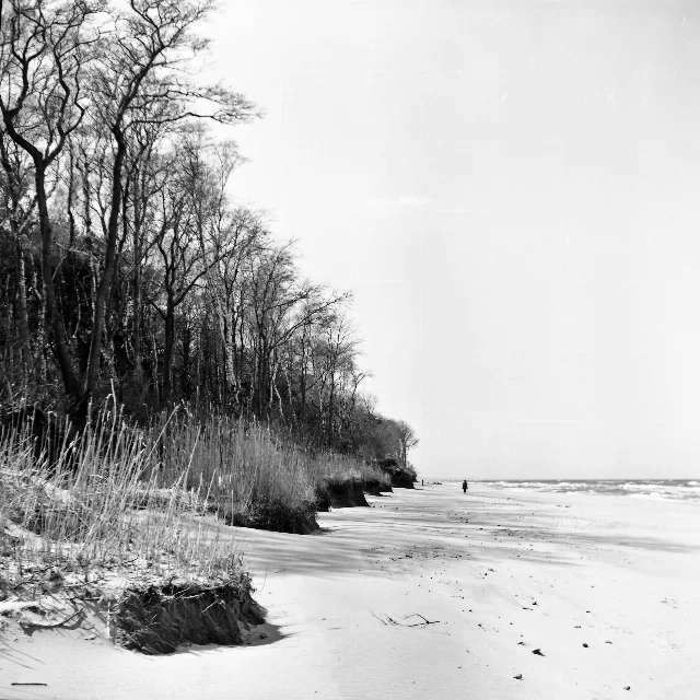 Image description