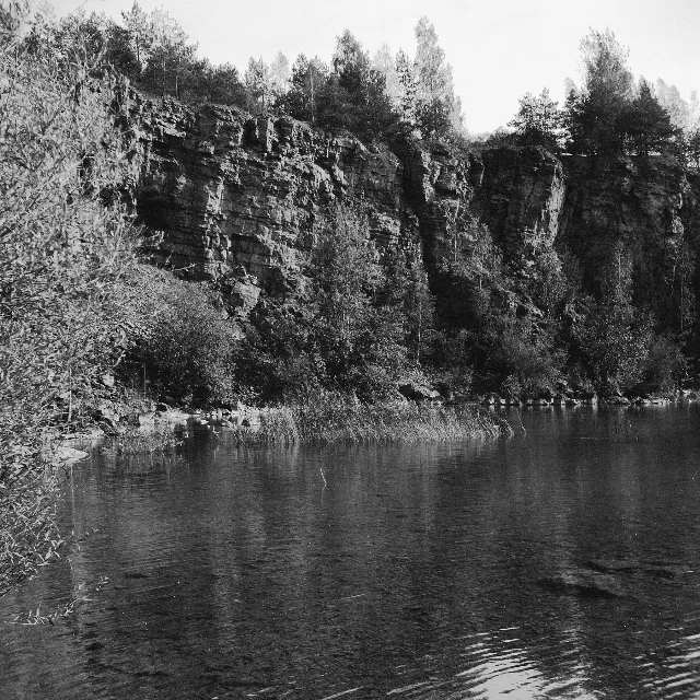 Image description