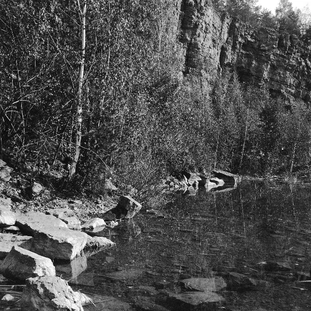 Image description
