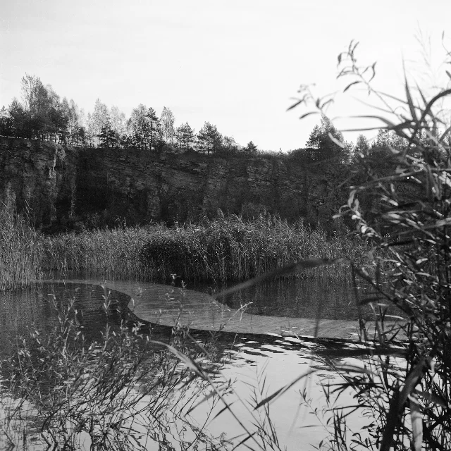 Image description