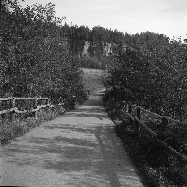Image description